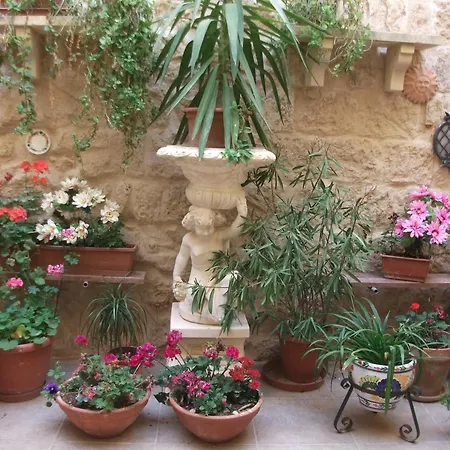 Knights In Malta Naxxar