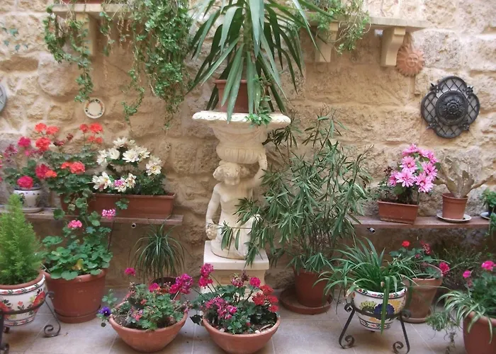 Knights In Malta Naxxar